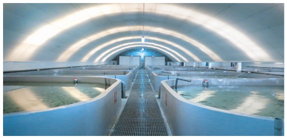 ʮ��ǰ�ؼ��g�ϰ����ɽҕԣ��ϣ�