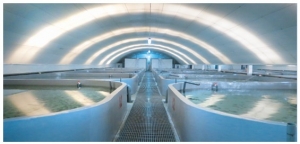 ʮ��ǰ�ؼ��g(sh��)�ϰ����ɽҕԣ��ϣ�