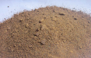 ʮ������¼��ϰ����ɽҕԣ��£�