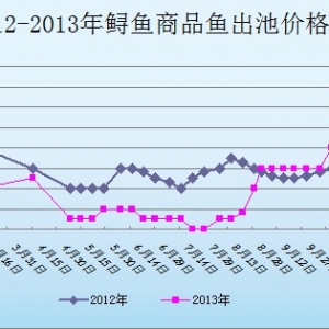 2013��11��27��ɽ�|ұԭ�؅^(q��)�\�~�r������