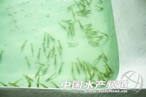 �N���|�����x�ش� ˮ�a�N���ИIؽ��Ҏ��