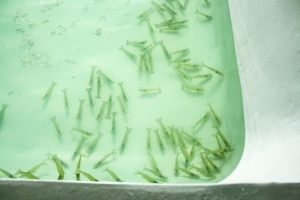 �N���|�����x�ش� ˮ�a�N���ИIؽ��Ҏ��