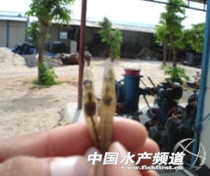 �I�Ȍ�EMS��ԭ��Ҋ��һ