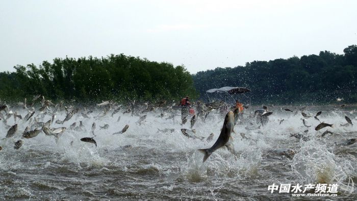 ������ӝO�I�����Ї��NҰ�����Ĵ���~��