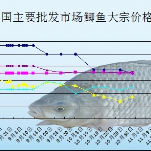 2013��12��16���Ĵ��V����ˮ�h���l(f��)�Ј��a�~�r������