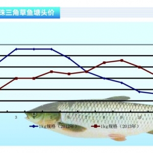 ���~���r��(w��n)�� ����ˮ�a(ch��n)ǰ�ء�2013��12�¿��Ј�څ��