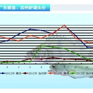 �Z�~��Ԫ��ǰ���S�ֵ̓rλ ����ˮ�aǰ�ء�2013��12�¿��Ј�څ��