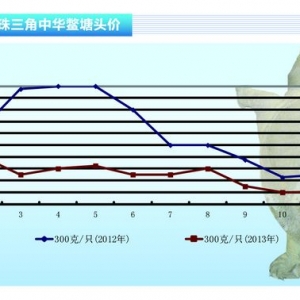 ���~��11���M�����c�� ����ˮ�aǰ�ء�2013��12�¿��Ј�څ��