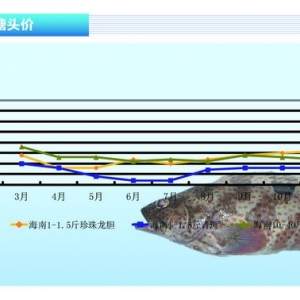 ʯ���~���r����m���� ����ˮ�aǰ�ء�2013��12�¿��Ј�څ��