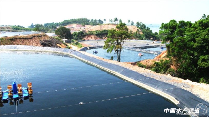 ��Մ�������r��Ч�Bֳģʽ����r���������˺�