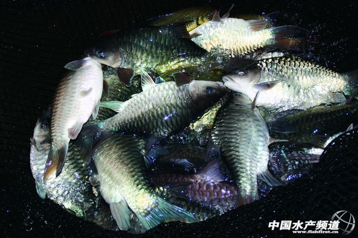 ������w�������ˡ����ɵ�ˮ�~�����c