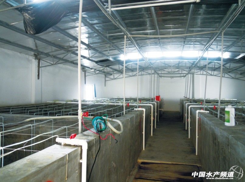 �ո�ˮ�a�����V���r���һƷ��