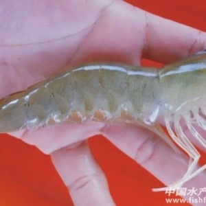 2013��12��16-20�������׌��r�r�������܈�