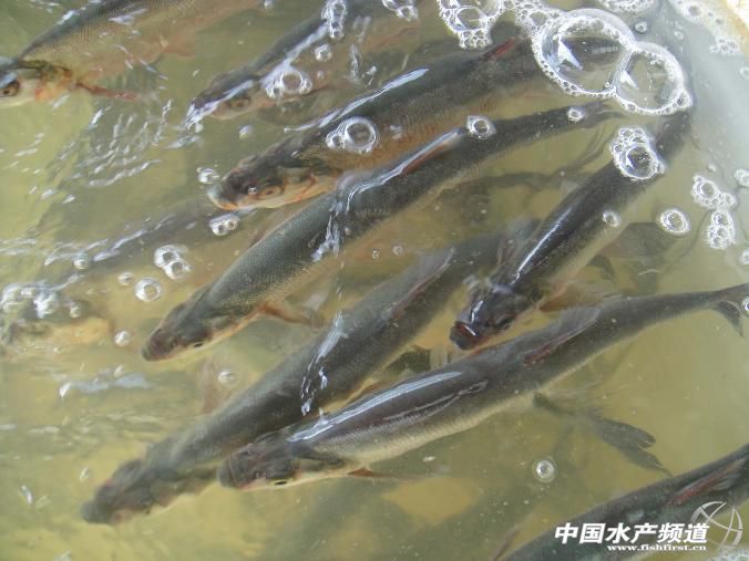 �N��t���I�B�о��Mչ