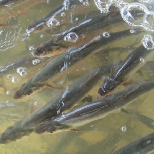 �N��t���I�B�о��Mչ