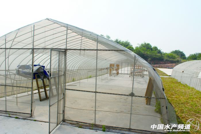 ����¡�ӡ��_���~�Bֳ�c�ӹ����g