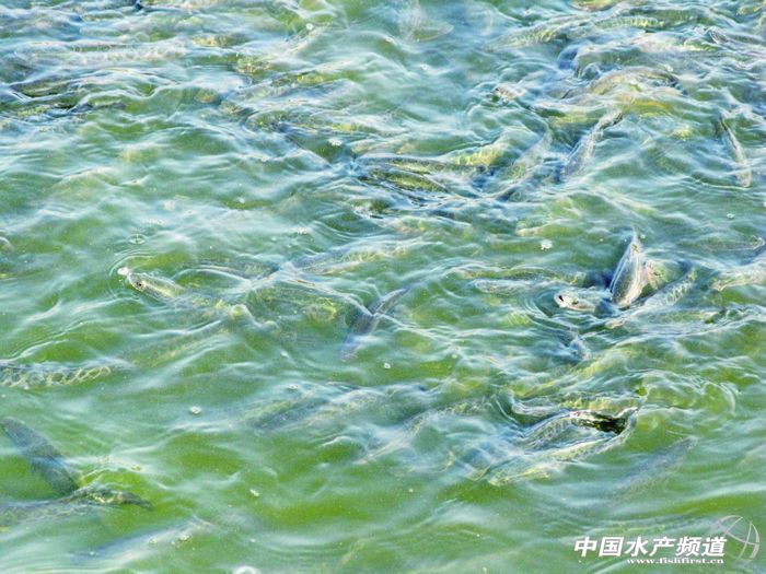 2013�����������~���Ј�����c˼��