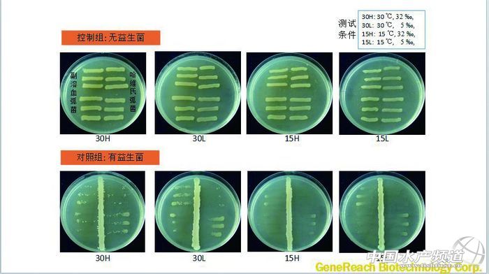 EMS���ٙz�yԇ���Ќ�����