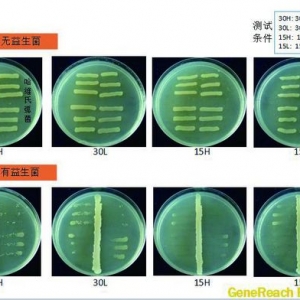 EMS���ٙz�y(c��)ԇ���Ќ���(w��n)��