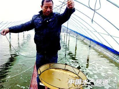 ��Ͷ��ŕ��и߮a�����Oʩ�O�I�������څ