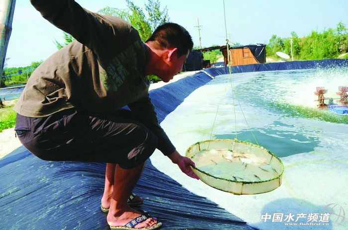 �a�I���� ���r�Bֳ���ͻ��