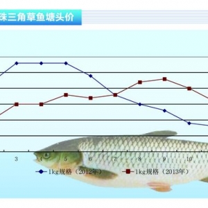 ���~�������ǳ��m(x��)���� ���K�r���ϝq����ˮ�a(ch��n)ǰ�ء�2014��1�¿��Ј�څ��