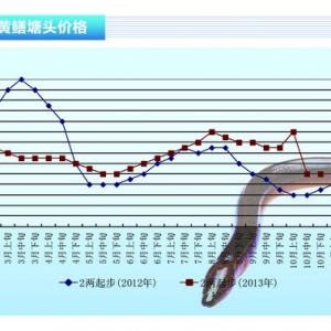 �S�X���r���»� ����ˮ�aǰ�ء�2014��1�¿��Ј�څ��