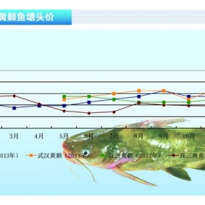 �S��~�����؃r���Խ�����ˮ�aǰ�ء�2014��1�¿��Ј�څ��