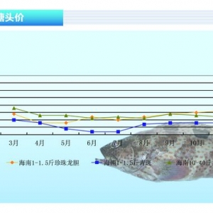 ʯ���~��Ҏ���~�� �r�������ϝq����ˮ�aǰ�ء�2014��1�¿��Ј�څ��