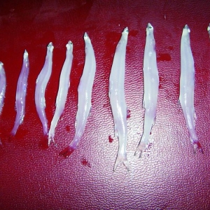 �Ї��y�~�a(ch��n)�I(y��)�śr���l(f��)չ���}