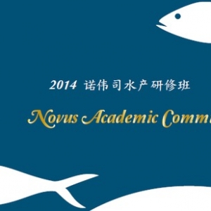 �Z��˾�����e�kˮ�a���ް� �������n���c��