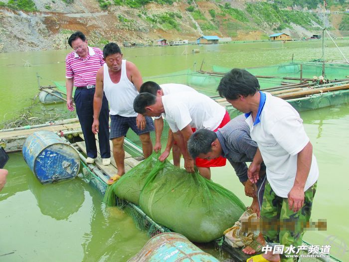 �F������ˮ���ռS�W���Bֳ�^���������{��