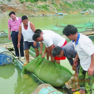 �F������ˮ���ռS�W���Bֳ�^���������{��