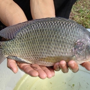 2014�_���Bֳ����֮�������