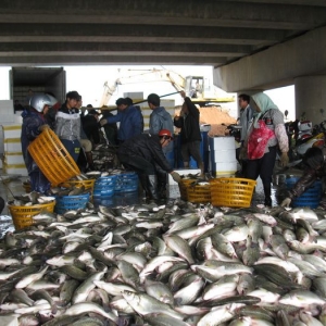 ���|�٬F(xi��n)����Ͷ�� ���y��������r