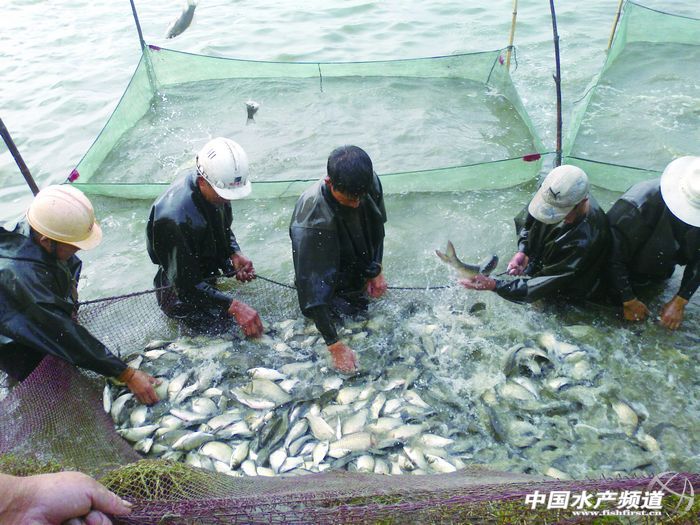 ���K�a�~�Ј�������c(�D)