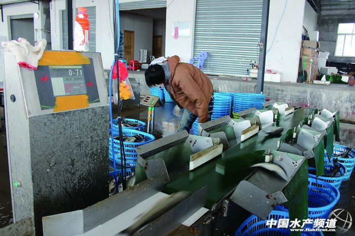 ���������|���������N������