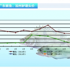 �Z�~���R������ �r������Ҋ�q����ˮ�aǰ�ء�2014��2�¿��Ј�څ��