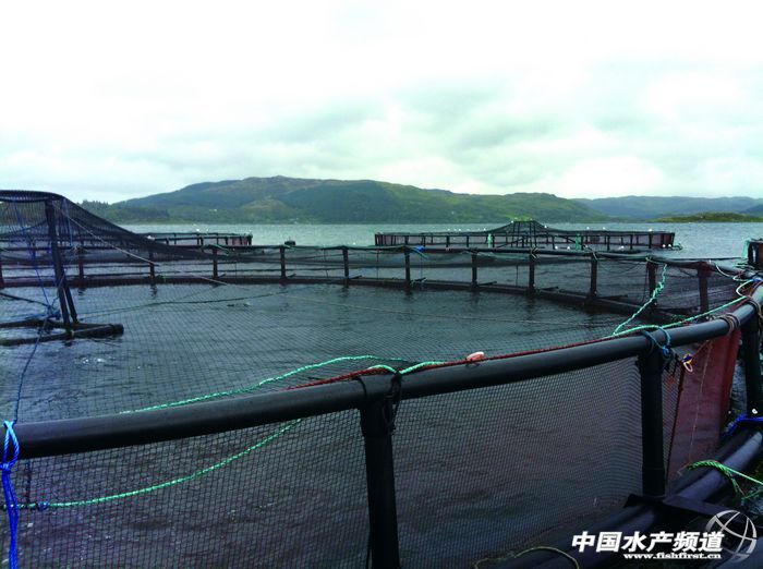 ���ң����g֮���҂�߀ȱʲô��