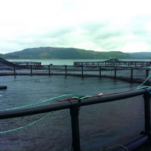 ���ң����g(sh��)֮���҂�߀ȱʲô��