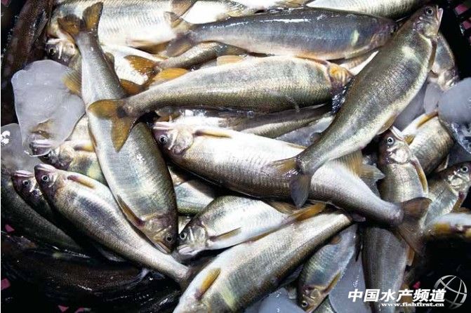 ����������~��a��ǧ��