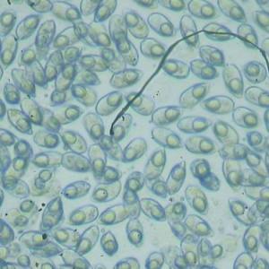 혵µ؅^(q��)�Z���Ͼ����F(xi��n)��(ch��ng)�����\��