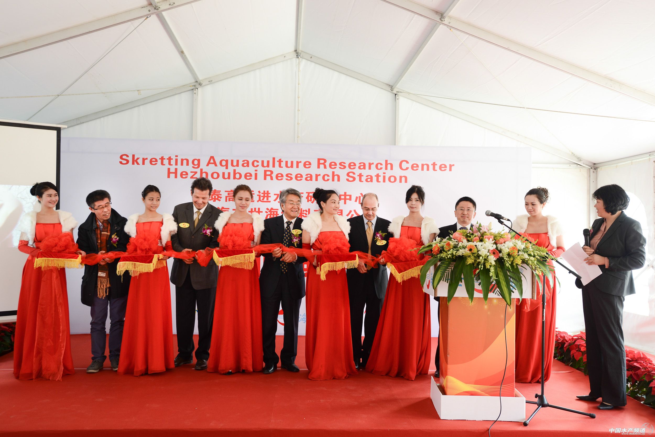 ̩��΢ƽ�⼼�g����׻������r��