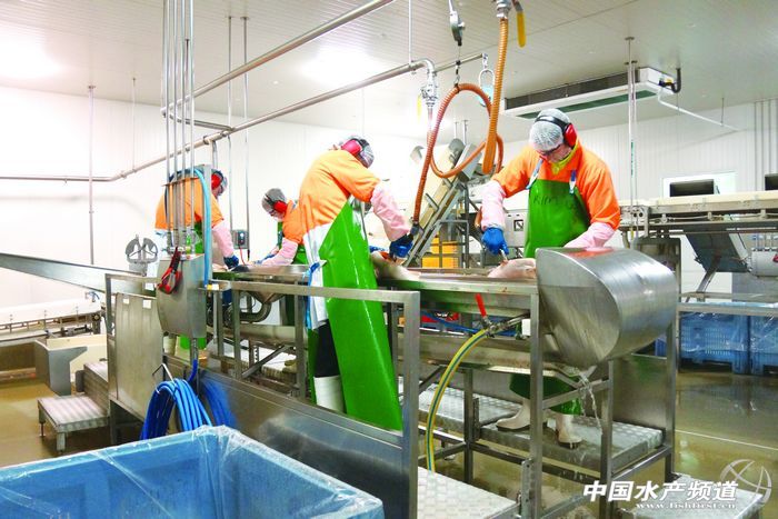 �Ĵ����������~�Bֳ���^ӛ