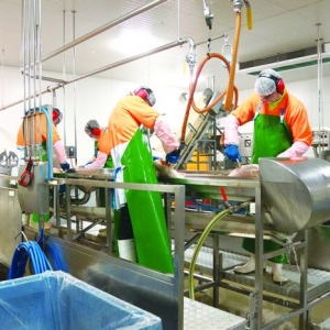 �Ĵ����������~�B(y��ng)ֳ���^ӛ