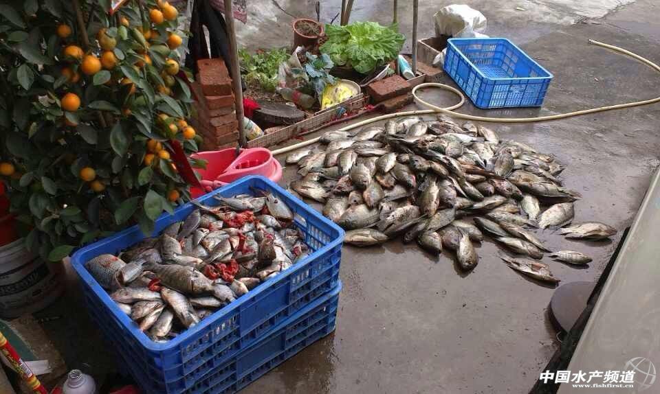 �͜��V�|�_���~��������