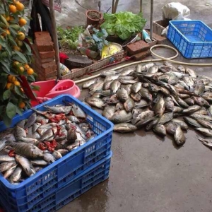 �͜��V�|�_���~������(y��n)��