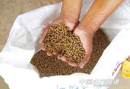 �����_�����Ј������ϝuڅ����