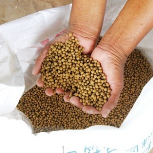 �����_�����Ј������ϝuڅ����(d��o)