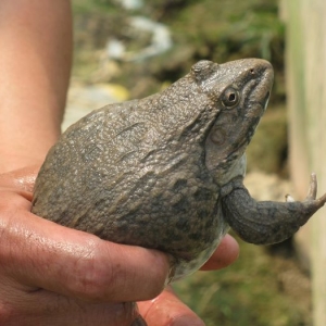 Խ�������كr�q ���������Ӱ�